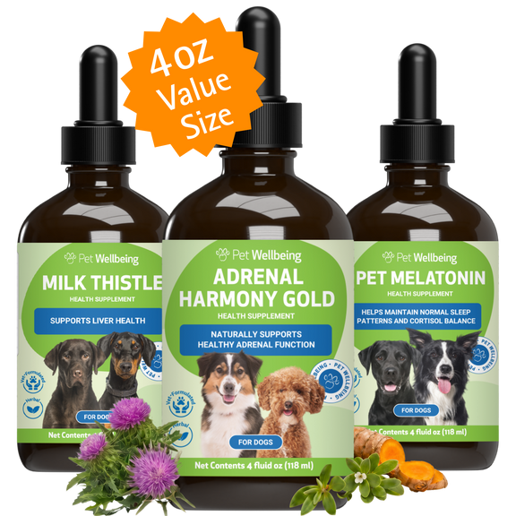 Adrenal Care Kit - Comprehensive Adrenal Support for Dogs Value Size