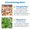 Life Gold - Immune, Antioxidant, and Detoxification Support for Dogs