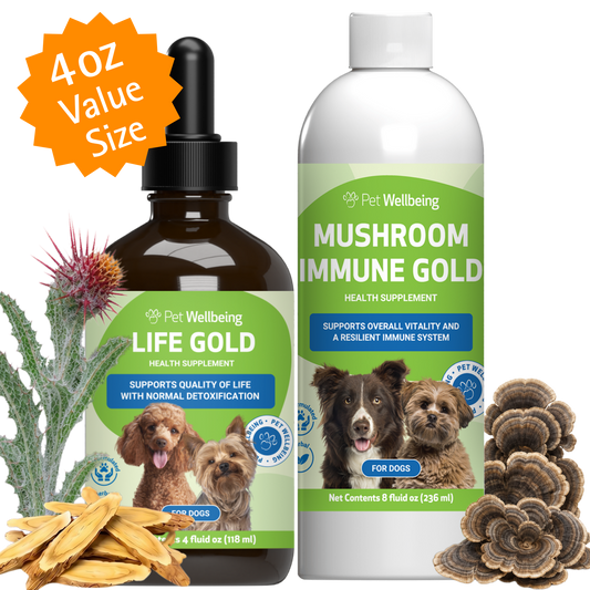More Mushrooms Kit for Dogs - Complementary and Alternative Care Immune and Antioxidant Support- Value Size