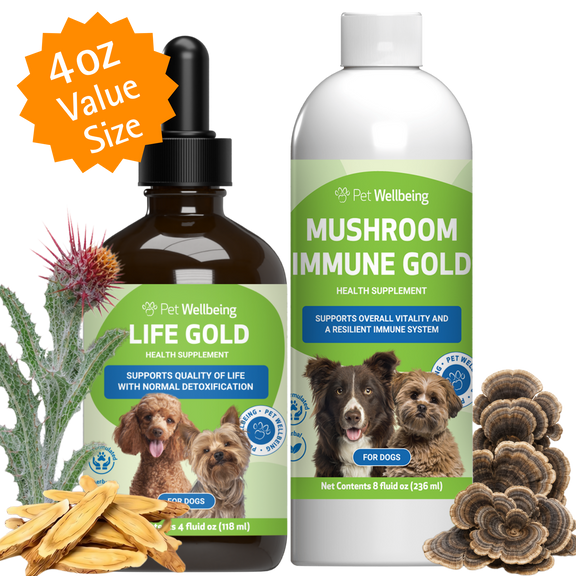 More Mushrooms Kit for Dogs - Complementary and Alternative Care Immune and Antioxidant Support- Value Size