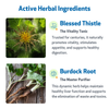 Life Gold - Immune, Antioxidant, and Detoxification Support for Dogs
