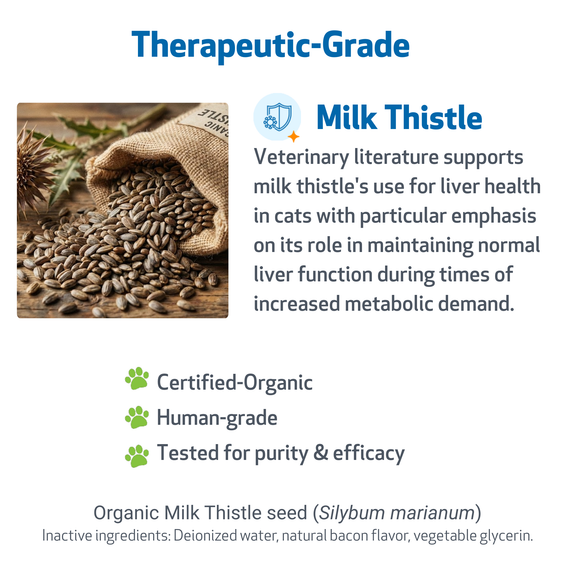 Milk Thistle - for Healthy Liver Function in Cats | Pet Wellbeing Milk Thistle - for Healthy Liver Function in Cats | Pet Wellbeing