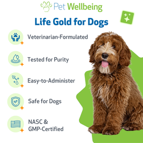 For Dogs | Pet Wellbeing