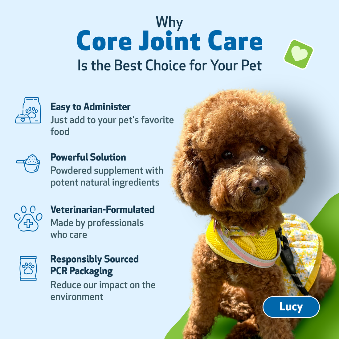 Joint care for dogs add to water sale