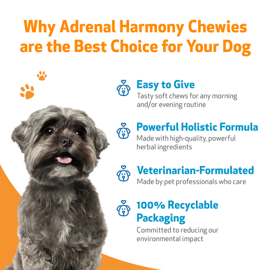 A closer look at Natural Dog Food For Canine Adrenal Function