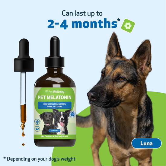 Pet Melatonin - for Healthy Sleep Patterns in Dogs | Pet Wellbeing