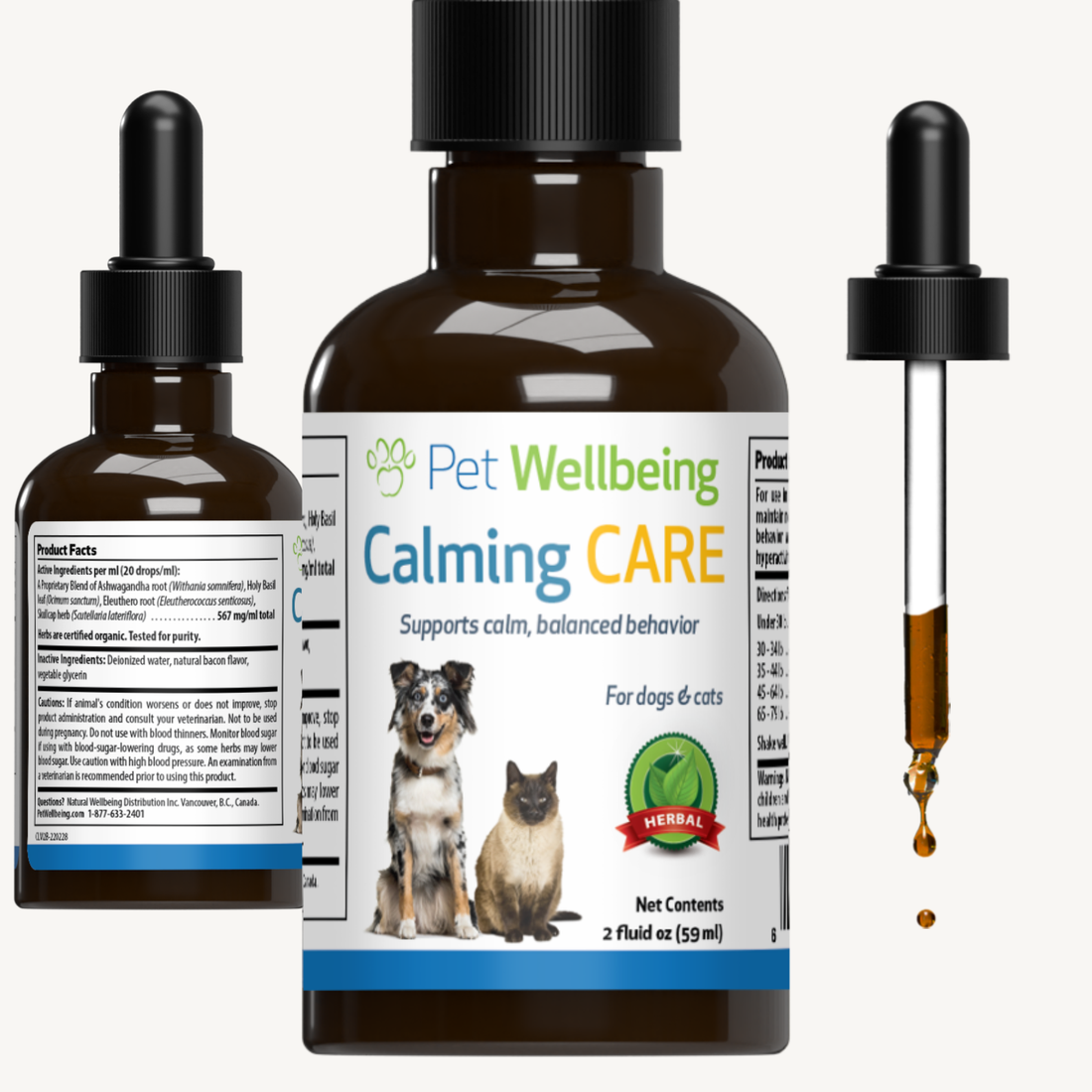 Calming Care for Cat Anxious Behavior Pet Wellbeing