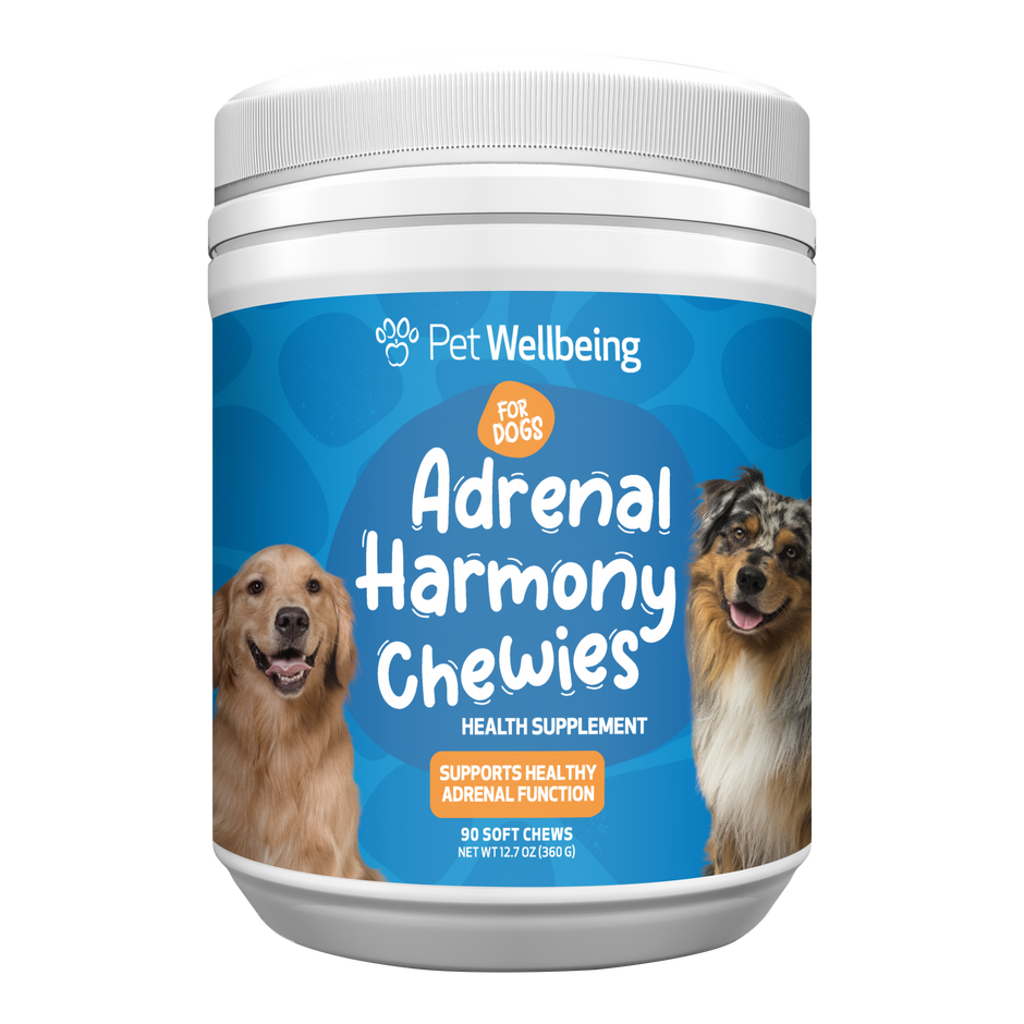 Image showcasing Adrenal Support - Dog | Pet Wellbeing