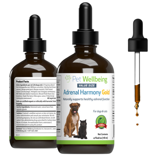 Adrenal Harmony Gold Supports Cortisol Levels Adrenal Function