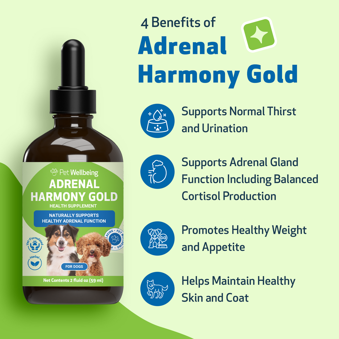 Adrenal Harmony Gold - Supports Cortisol Levels & Adrenal Function in ...