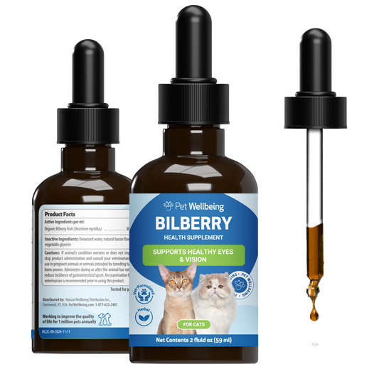 Bilberry - Supports Healthy Vision and Capillaries in Cats