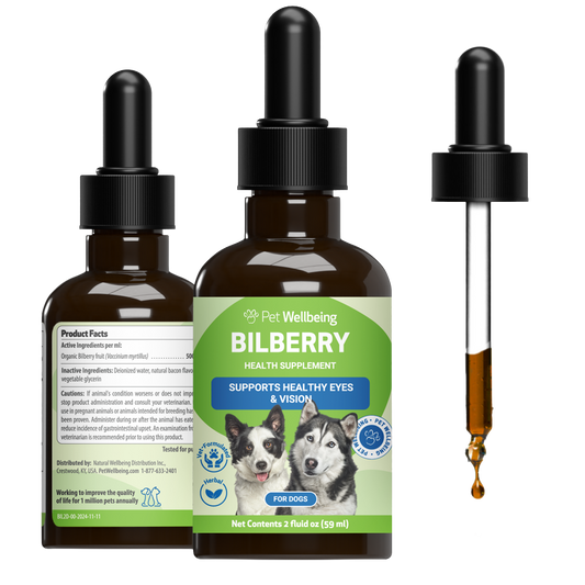 Bilberry - Supports Healthy Vision and Capillaries in Dogs