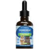 Chamomile - Supports a Healthy Calm and Digestive Function in Cats