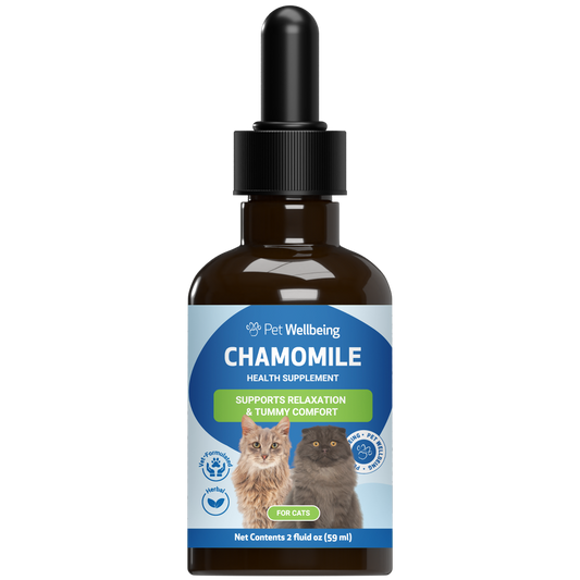 Chamomile - Supports a Healthy Calm and Digestive Function in Cats