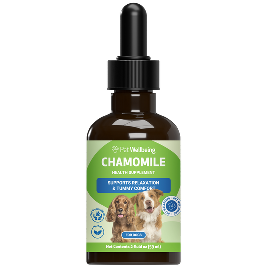 Chamomile - Supports a Healthy Calm and Digestive Function in Dogs