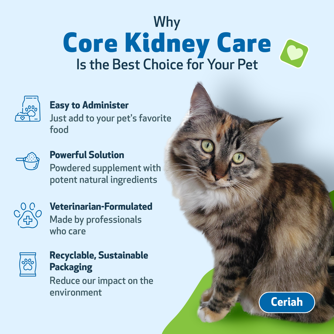 Pet Wellbeing Core Kidney Care for Cats Dogs Daily Phosphate Binder with FOS Chitosan Probiotics Reishi Vet Formulated 5.08 oz 144 g