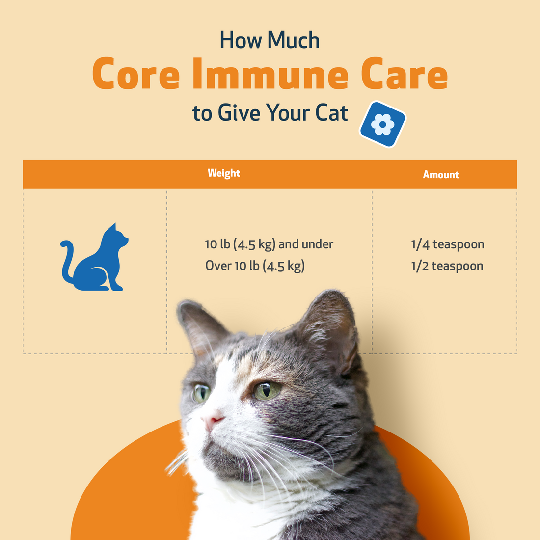 CORE IMMUNE CARE - Daily Antioxidant Support for Cats | Pet Wellbeing