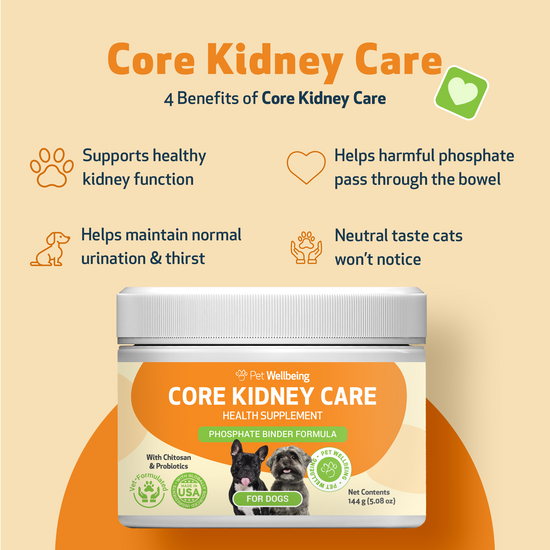 Is Nutritional Yeast Good for Dogs With Kidney Disease? Key Facts