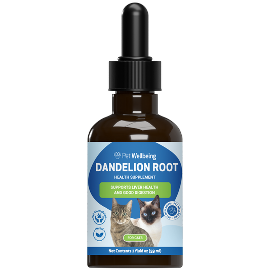 Dandelion Root - Holistic Digestive & Liver Support for Cats