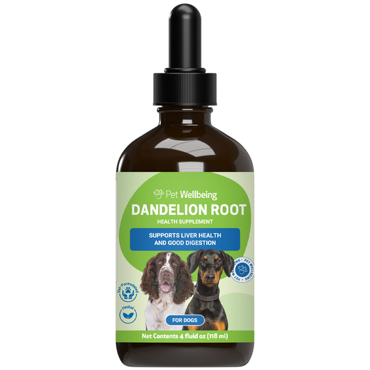 Dandelion Root - Holistic Digestive & Liver Support for Dogs