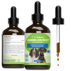Dandelion Root - Holistic Digestive & Liver Support for Dogs