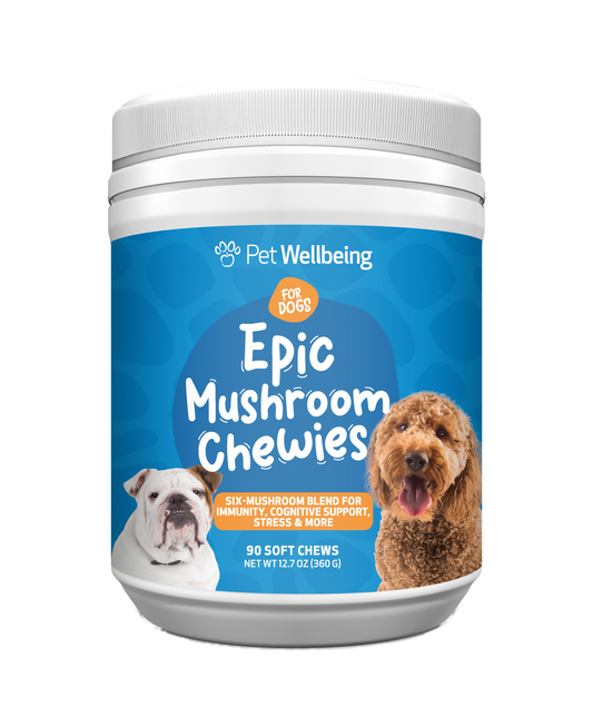 Epic Mushroom Chewies - for Immune Health and Cognitive Function in Dogs