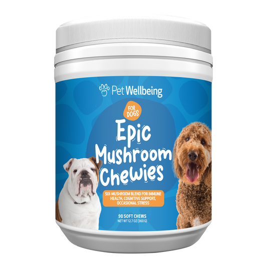 Epic Mushroom Chewies - for Immune Health and Cognitive Function in Dogs