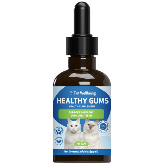 Healthy Gums - Topical Oral and Dental Care for Cats