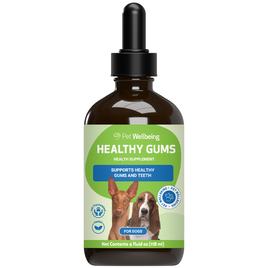 Healthy Gums - Topical Oral and Dental Care for Dogs