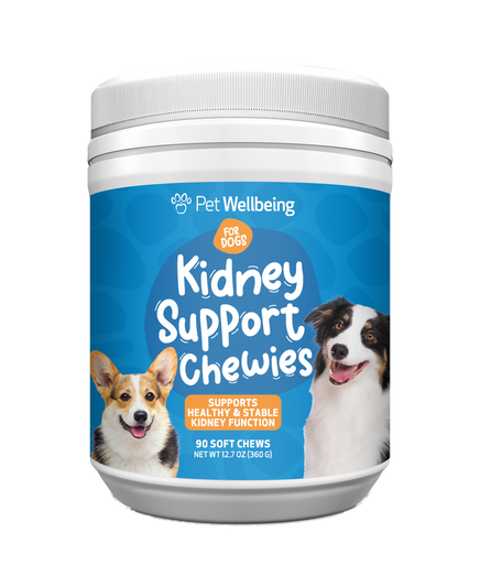 Natural Holistic Pet Supplements | Vet-Formulated Herbal Medicine
