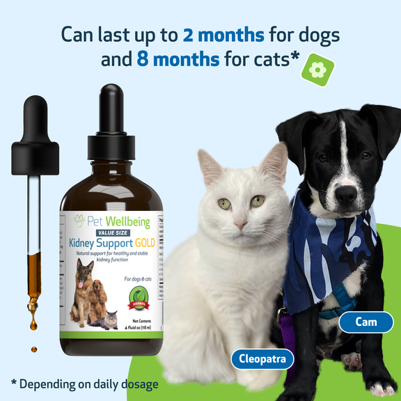 Kidney Support Gold for Dog Kidney Function Pet Wellbeing