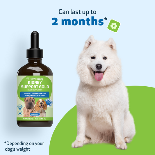 Kidney Support Gold - for Healthy Kidney Function in Dogs | Pet Wellbeing