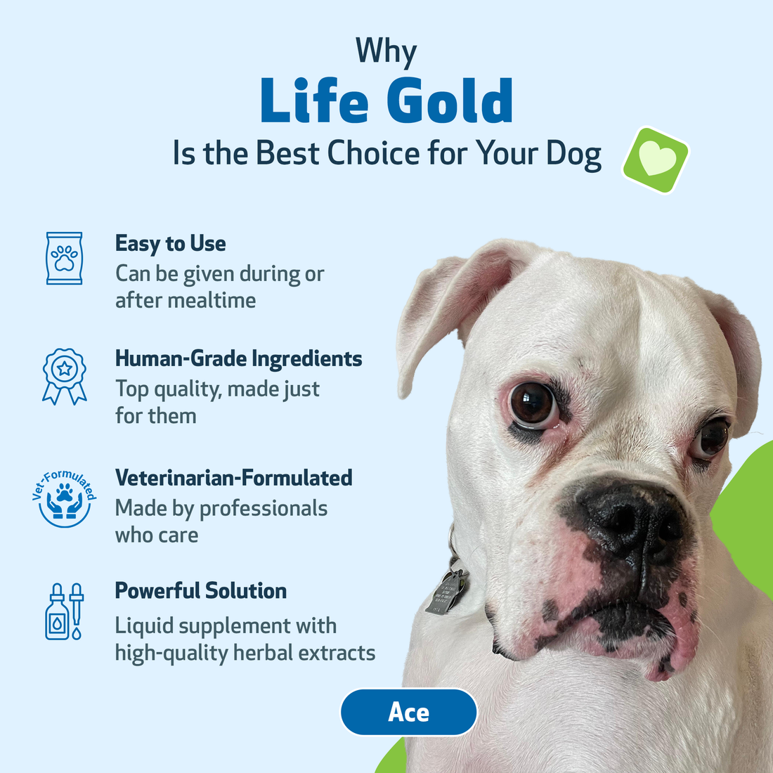 Life Gold - Immune, Antioxidant, and Detoxification Support for Dogs ...