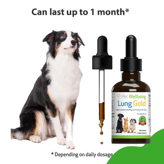 Lung Gold Lower Respiratory Tract Support for Dogs Pet Wellbeing