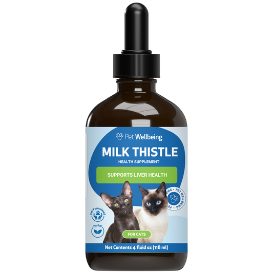 Milk Thistle - for Healthy Liver Function in Cats