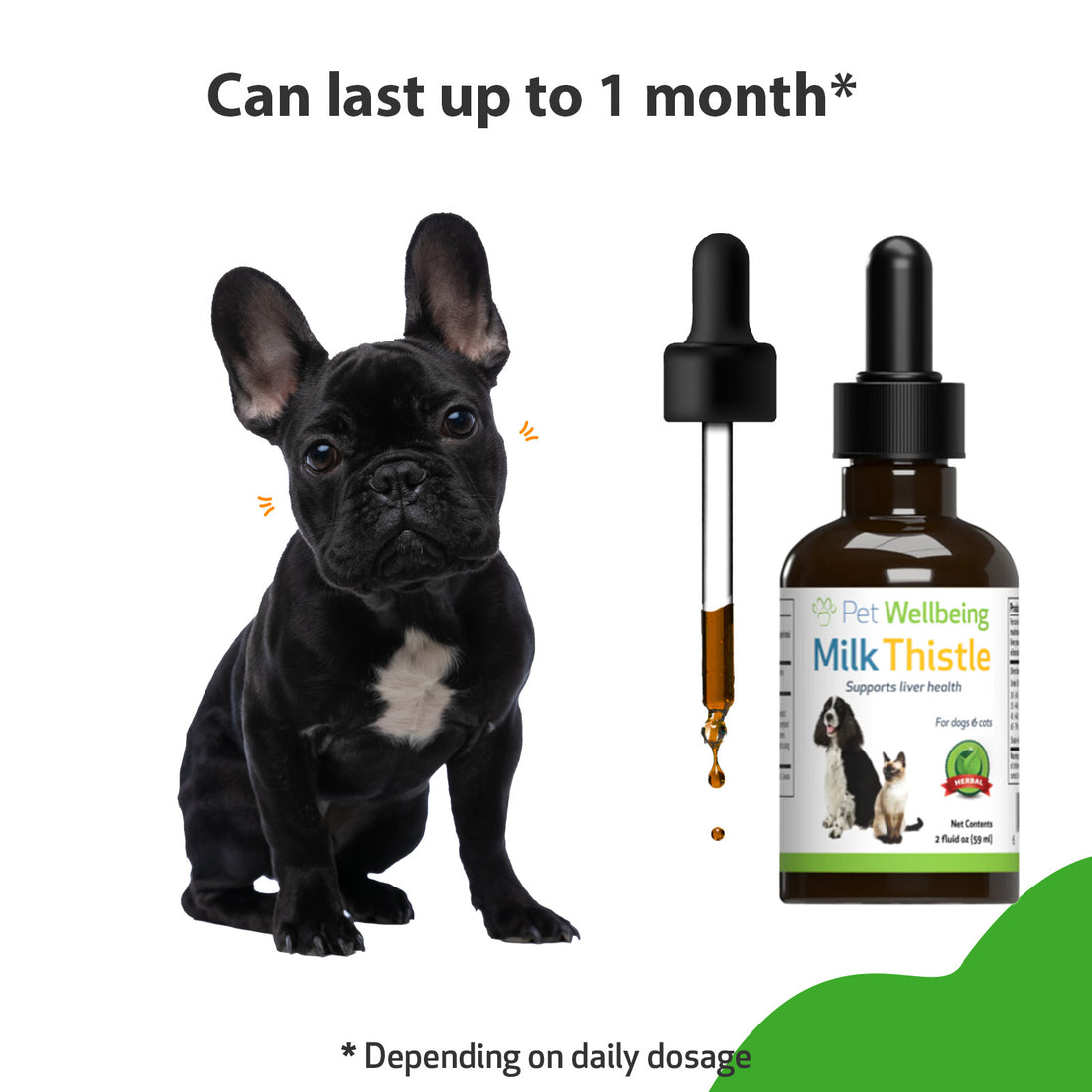 Silymarin dose for clearance dogs