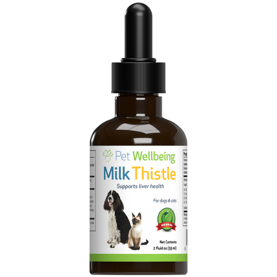 Milk Thistle for Healthy Liver Function in Dogs Pet Wellbeing