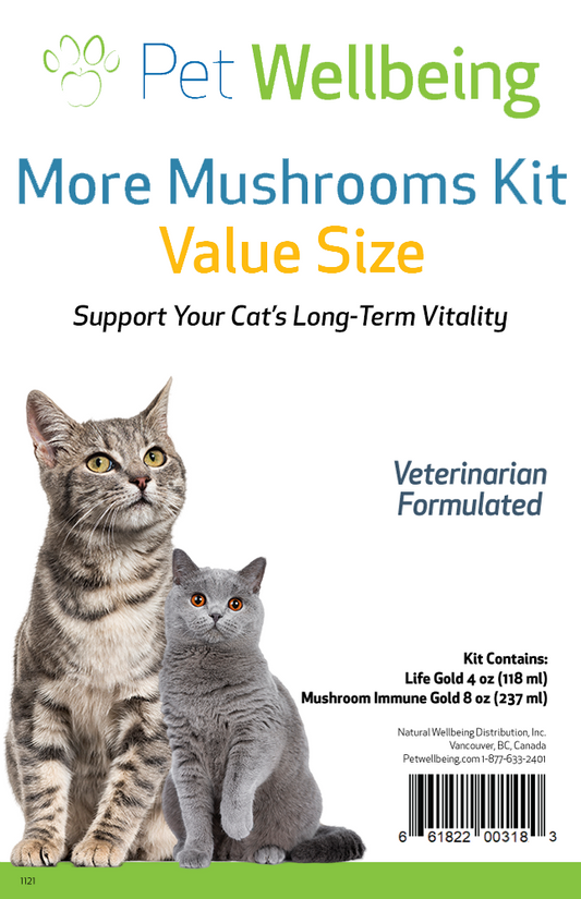 More Mushrooms Kit for Cats - Complementary and Alternative Care Immune & Antioxidant Support - Value Size