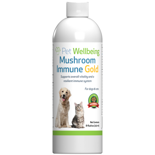 Mushroom Immune Gold - Holistic Cancer Support for Dogs