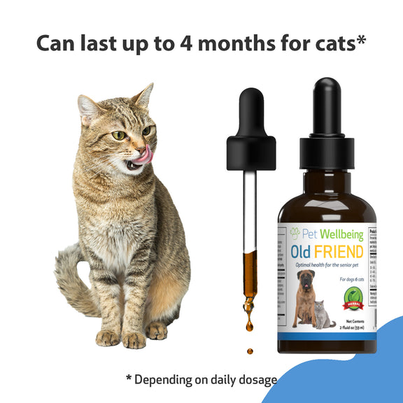 Old Friend for Senior Cats Pet Wellbeing