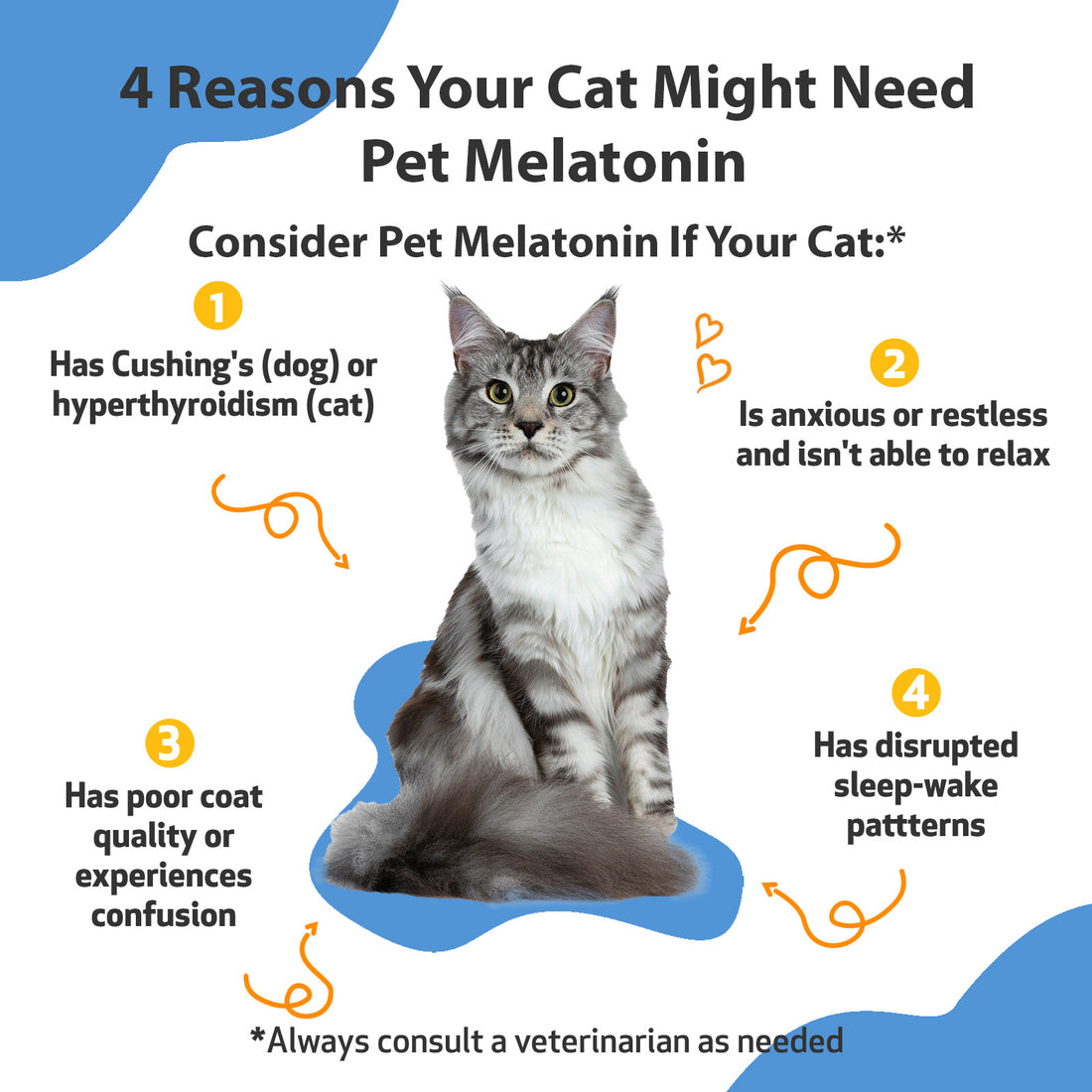 Pet Melatonin for Cats Pet Wellbeing