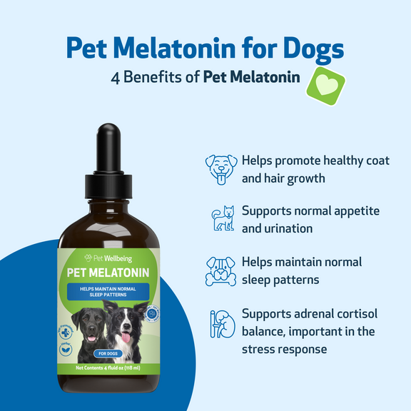 Melatonin for dogs skin hot sale