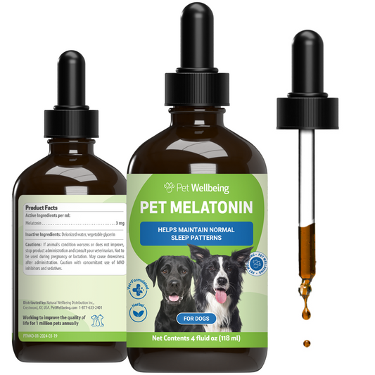 Pet Melatonin - for Healthy Sleep Patterns in Dogs