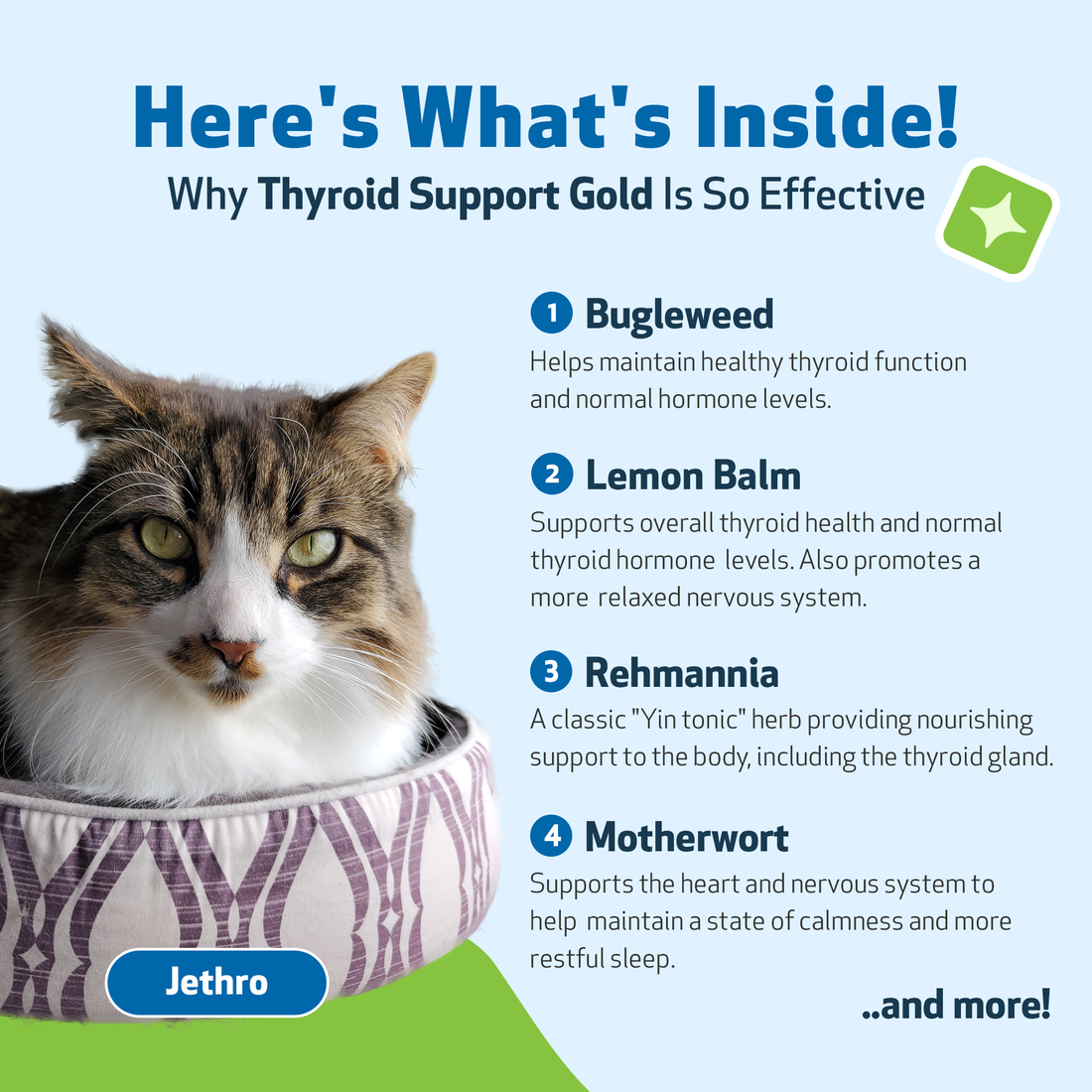 Thyroid Support Gold for Cat Hyperthyroid Pet Wellbeing