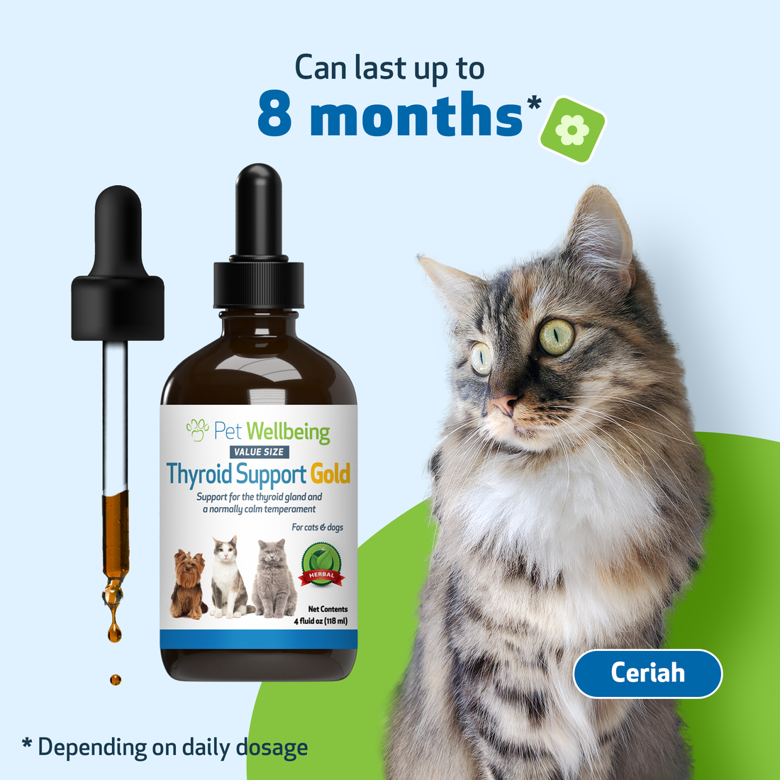 Thyroid in hot sale cats natural treatment