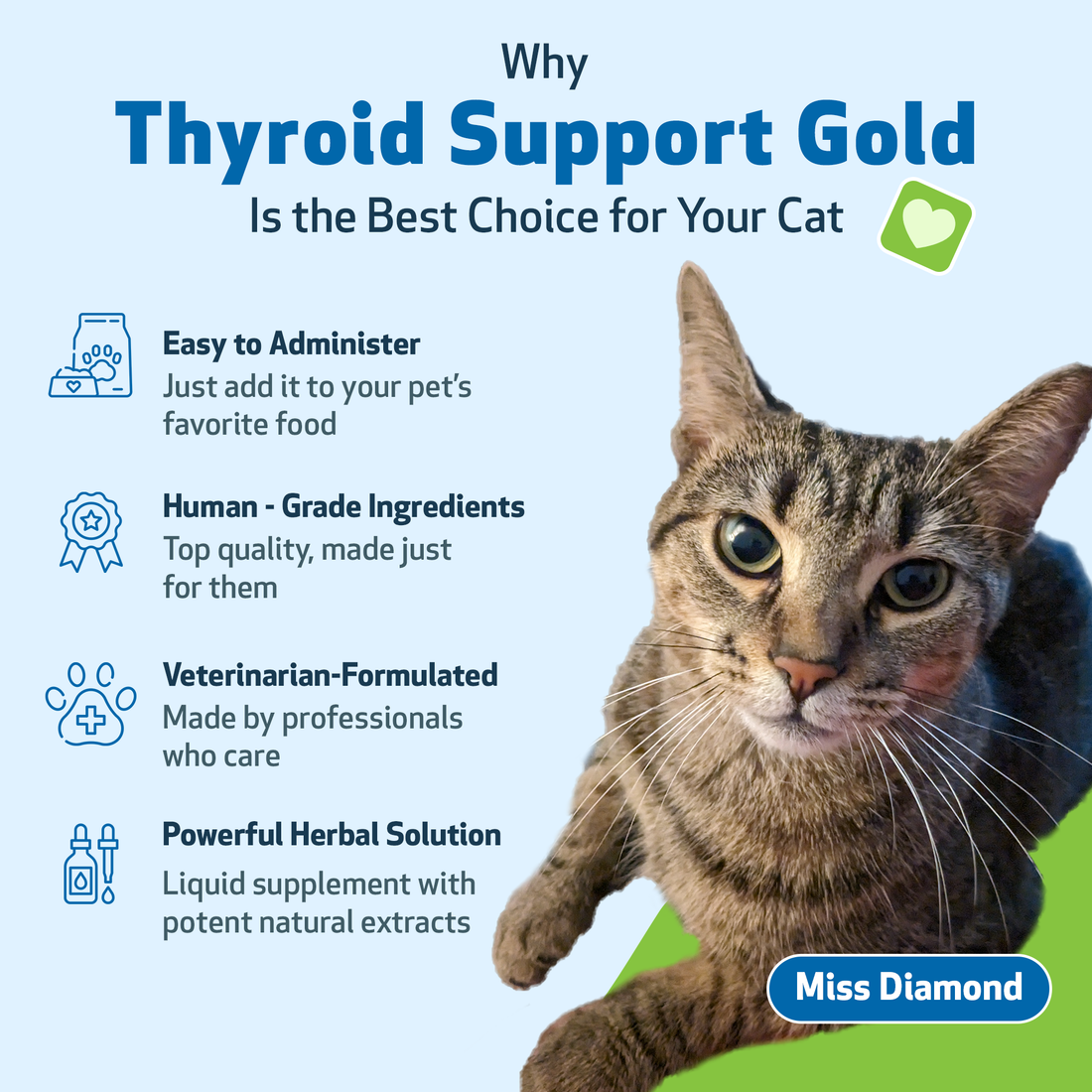 Holistic treatment for store hyperthyroidism in cats