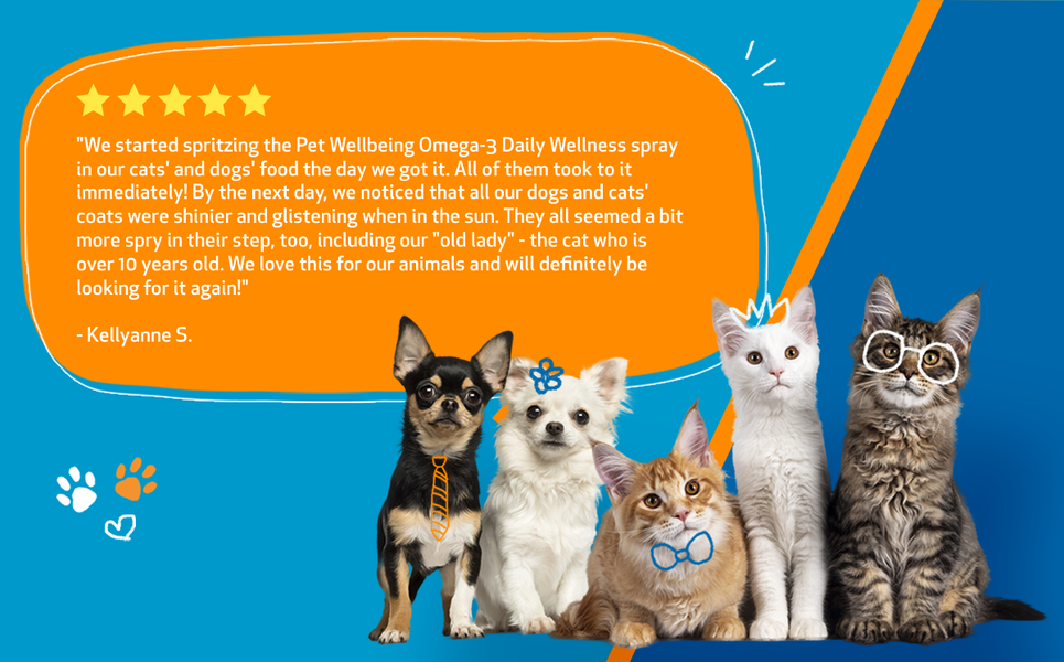 Natural Holistic Pet Supplements VetFormulated Herbal Medicine