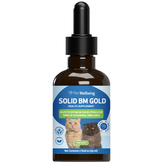 Solid BM Gold (BM Tone-Up) - Supports Healthy Stools and Digestive Function in Cats