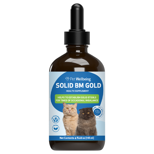 Solid BM Gold (BM Tone-Up) - Supports Healthy Stools and Digestive Function in Cats