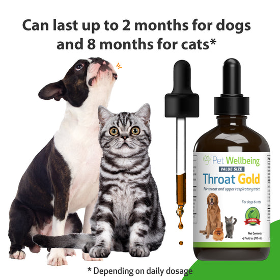 Throat Gold Soothes Throat Irritation in Dogs Pet Wellbeing